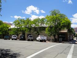 Trees line the street on the east side of the building. - , Utah
