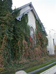 Vines almost cover a single arched window in the north wall of the church building. - , Utah