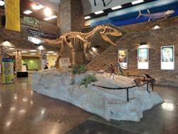 A tyrannosaurus rex skeleton is the main exhibit in the lobby of the Museum of Ancient Life. - , Utah