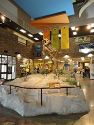 The Lobby of the Museum of Ancient Life. - , Utah