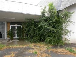 Weed trees overwhelm the south end of the covered entrance. - , Utah