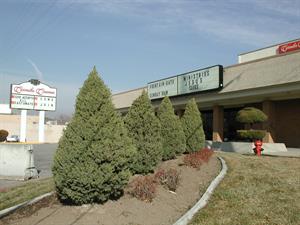 Four pointed bushes in a flower bed lead up to the front of the former theater. - , Utah