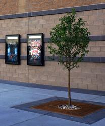 <p>Two poster cases and a tree along the west side of the theater.</p> - , Utah