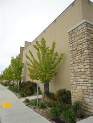 Trees grow along the west exterior wall. - , Utah