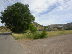 A large tree marks the entrance of the former Hyland Drive-In site.  On the left is Knoll Street and and the right is the driveway to the drive-in site. - , Utah
