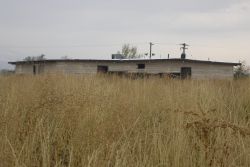 Weeds cover the North Star Drive-In, almost obscuring the main projection and snack bar building. - , Utah