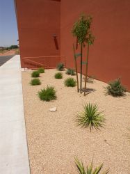 Water-conserving landscaping along the back of the theater complex. - , Utah