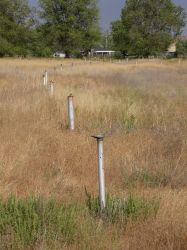 A row of old speaker poles, minus the speakers, is surrounded by growing weeds. - , Utah